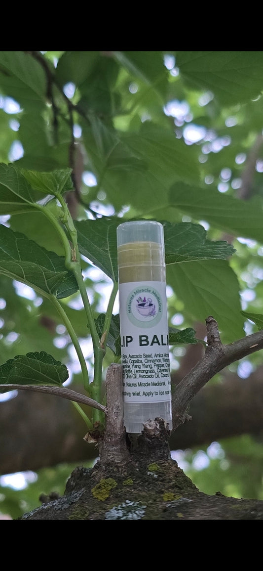 Herbal LIP BALM